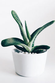 Organization & Storage